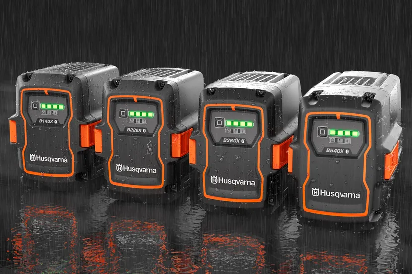 pj-448855.webp (71 KB)